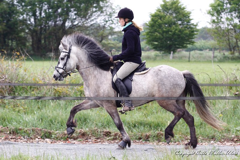 Arndis 2011_05_29 a.jpg - Arndis und Katharina - Probereiten auf der Passbahn auf Heesberg